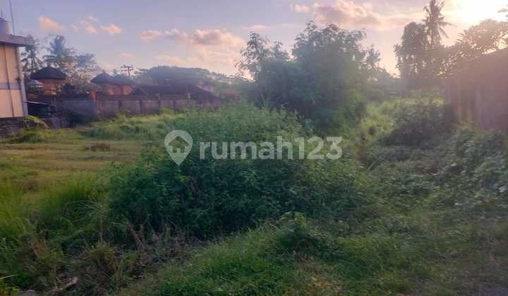 LAND FOR SALE Kemenuh Sukawati Gianyar Bali