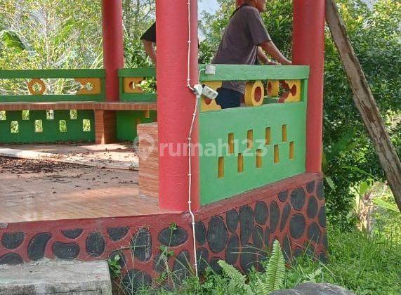 Tanah +Kebun Strategis Dekat Pure di Negara Dekat Tabanan Bali 1