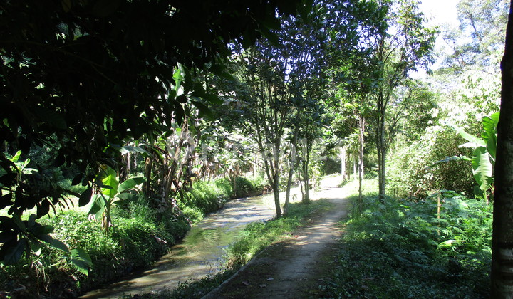 Affordable Land Suitable for Business, Tourism, and Livestock in Lembang, Bandung