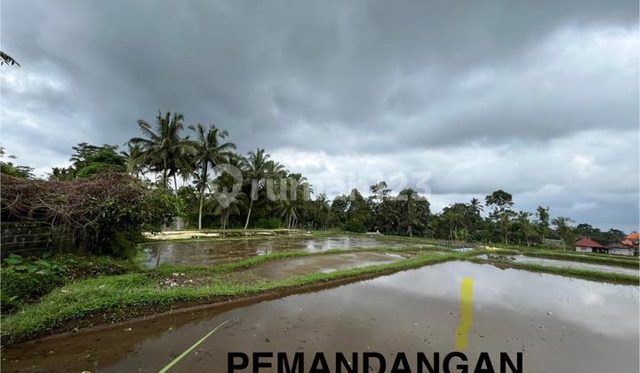 FOR SALE LAND Kenderan Main Road Bali