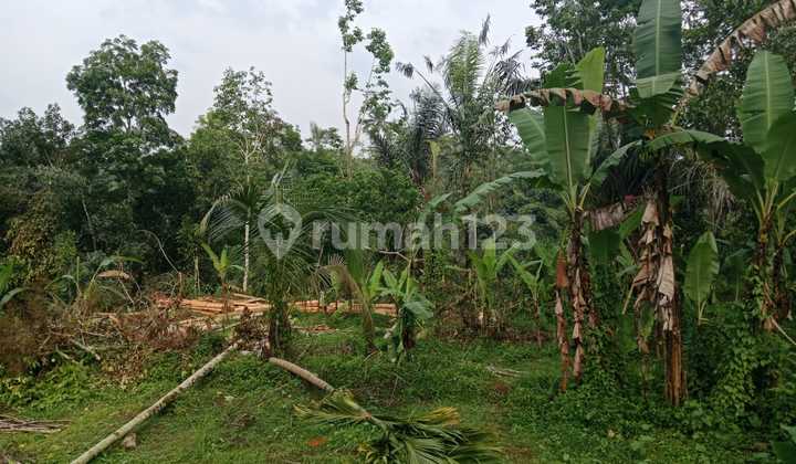 DIJUAL TANAH Tegallalang Gianyar Ubud Bali DIJUAL TANAH Tegallalang Gianyar Ubud Bali