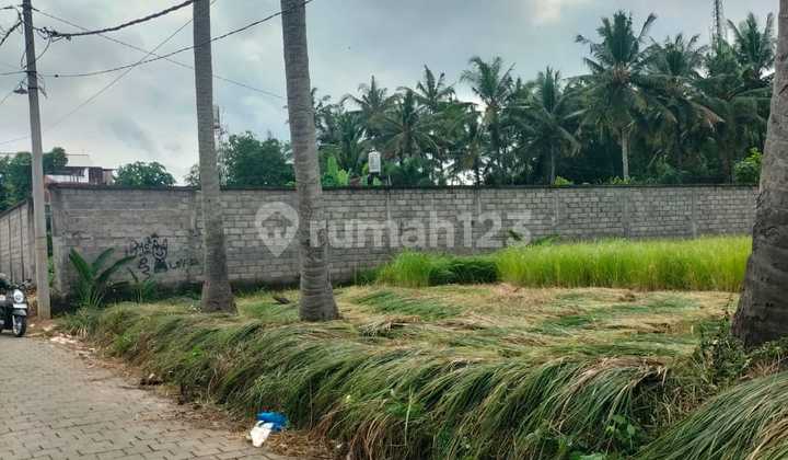 For Sale LAND Silungan Lodtunduh Ubud Bali