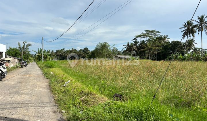 LAND FOR SALE / Jual Tanah Strategis di Pejeng dekat Ubud Bali 2