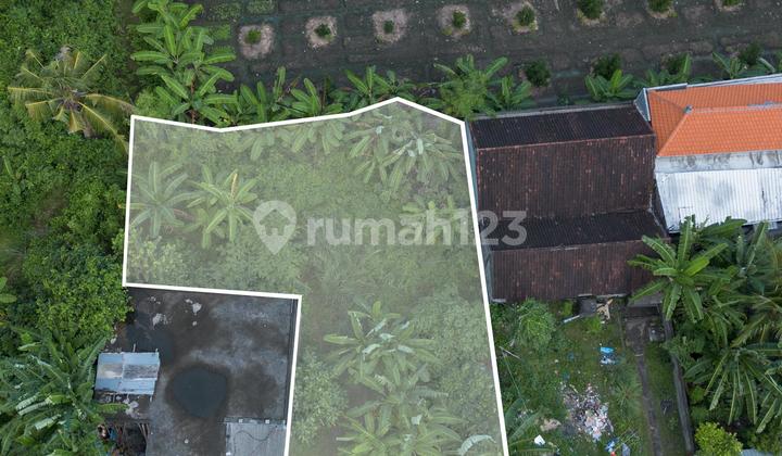 Jual Tanah Murah For Sale Land di Jl.Keramas Ginayar Bali