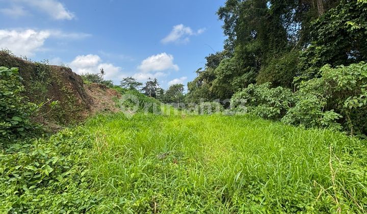 Jual Tanah For Sale Land Strategis di Lod Tunduh Ubud Bali