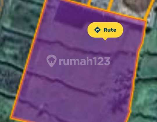 For Sale Land Jual Tanah di Pinggir Jalan Kenderan Bali 2