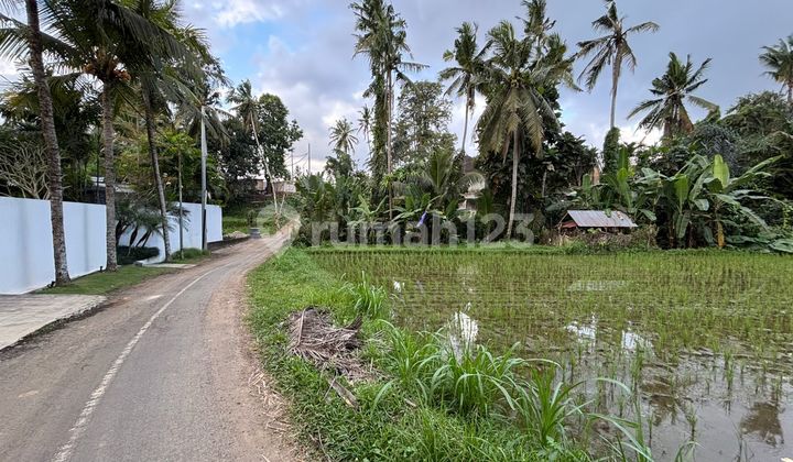 Land For Sale in Villa Singakerta Area, Ubud, Bali