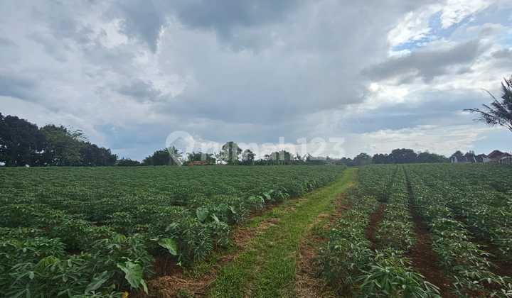 Residential Land in Bojonggede, Bogor