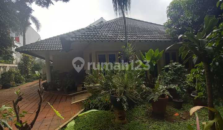 Rumah Classic Di Area Cipete(jeruk Purut),jakarta Selatan