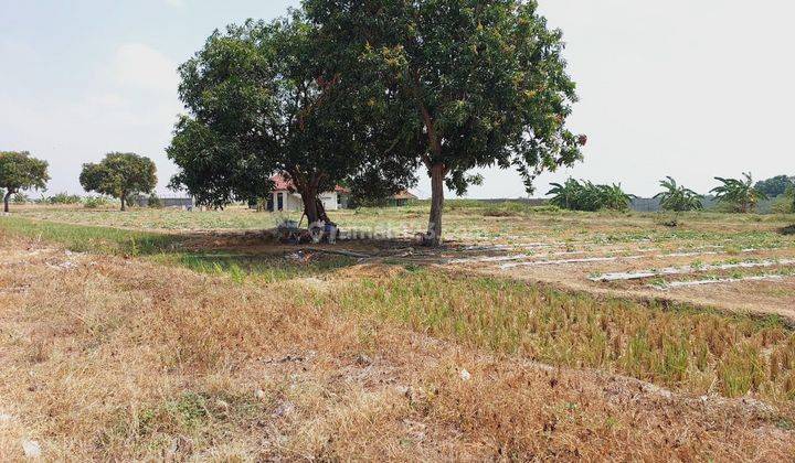 Tanah Darat Bagus Strategis 10 Menit Ke Bundaran Mangga Indramayu 2