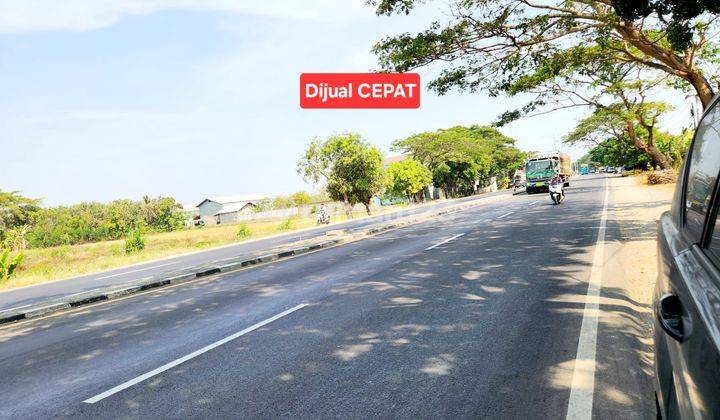 Tanah Strategis Dekat Rs Mitra Plumbon Indramayu Jawa Barat 2