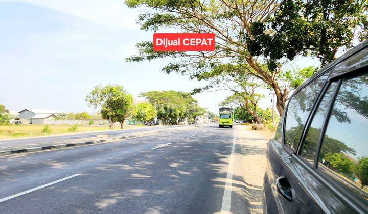 Tanah Jalur Provinsi Row 4 Mobil Jatibarang Indramayu Jawa Barat 2