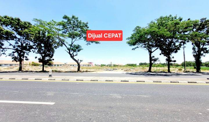 Tanah Strategis Jalan Provinsi Pantura Row 4 Mobil Indramayu  1