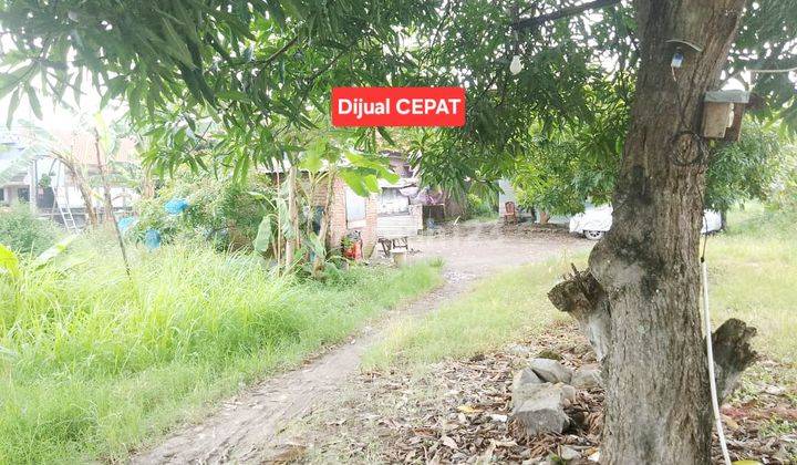 Tanah Hook Area Pemukiman 5 Menit Ke Empal H. Apud Plered Cirebon 1