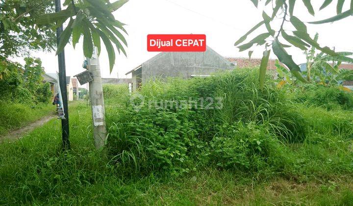 Tanah Hook Area Pemukiman 5 Menit Ke Empal H. Apud Plered Cirebon 2