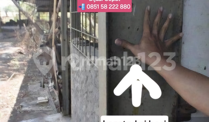 Bangunan Pabrik ,Gudang, Mess Eks Pabrik Rotan Cirebon 2
