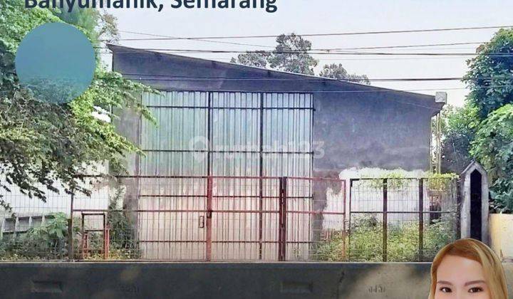 Gudang Strategis Tengah Kota Semarang Dekat Pintu Tol Ungaran Dekat Banyumanik Disewakan Di Pudak Payung Banyumanik Semarang Selatan 1