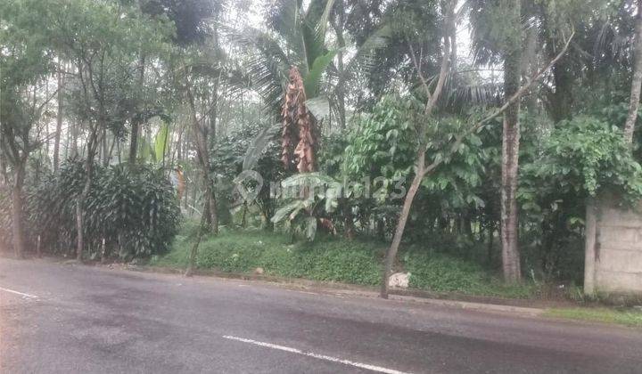 Tanah Strategis Tengah Kota Salatiga Dekat Kampus Uksw Dijual Di Lingkar Selatan Dukuh Sidorejo Salatiga 2