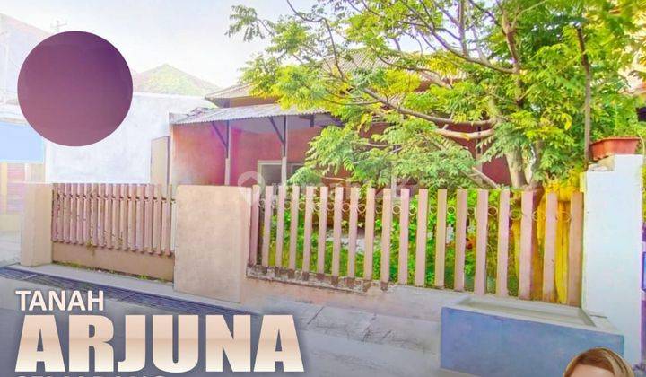 Tanah Strategis Tengah Kota Semarang Cocok Untuk Kos Dekat Kampus Udinus Dijual Di Arjuna Semarang Tengah