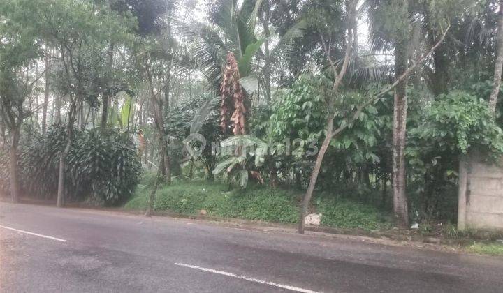 Tanah Strategis Tengah Kota Salatiga Dekat Kampus Uksw Dijual Di Lingkar Selatan Dukuh Sidorejo Salatiga 1