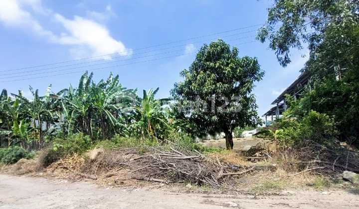 Tanah Luas Cocok untuk Industri Pabrik Pergudangan Tengah Kota Semarang Strategis Dekat Pintu Tol Kaligawe Dekat Pelabuhan Dijual di Kawasan Industri Banjardowo Genuk Semarang Timur 2