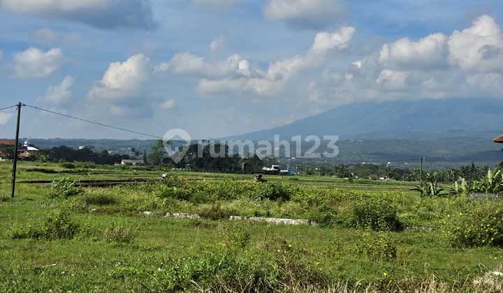 Tanah Strategis Tengah Kota Salatiga View Gunung Siap Bangun Dekat Kampus Uksw Cocok Untuk Kos Dijual Di Merdeka Blotongan Sidorejo Salatiga