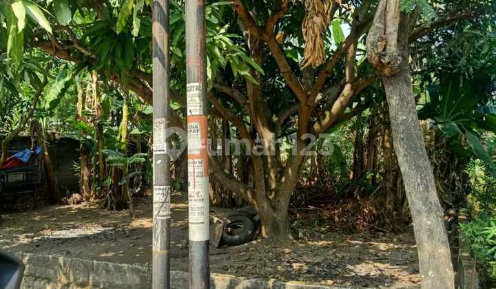 Tanah Strategis Tengah Kota Semarang Siap Bangun Dekat Terminal Penggaron Dekat Majapahit Dekat Tol Dijual Di Kyai Morang Pedurungan Semarang Timur 2