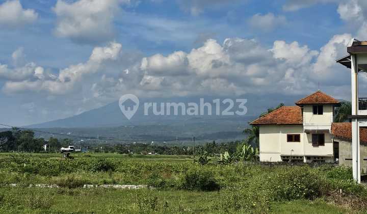 Tanah Strategis Tengah Kota Salatiga View Gunung Siap Bangun Dekat Kampus Uksw Cocok Untuk Kos Dijual Di Merdeka Blotongan Sidorejo Salatiga Tanah Strategis Tengah Kota Salatiga View Gunung Siap Bangun Dekat Kampus Uksw Cocok Untuk Kos Dijual Di Merdeka Blotongan Sidorejo Salatiga