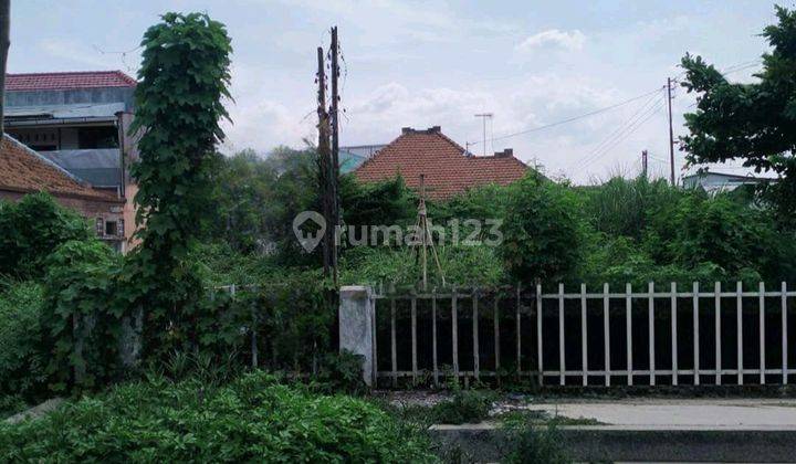 Tanah Strategis Tengah Kota Semarang Pusat Kota Dekat Kampus Udinus Cocok Untuk Rumah Kos Dijual Di Abimanyu Semarang Tengah