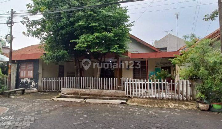 Rumah lama dihitung tanah tengah kota Semarang cocok untuk kos dekat kampus Undip di pusat kota dekat simpang lima dijual di Pleburan Semarang tengah 2