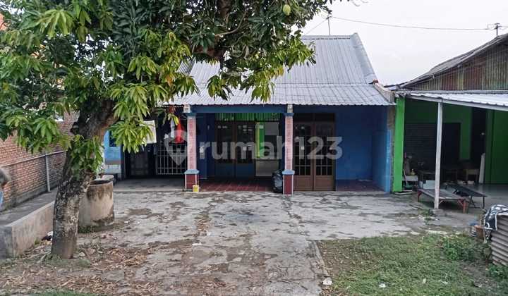 Rumah Murah Dihitung Tanah Tengah Kota Semarang Cocok Untuk Kos Dekat Kampus Unimus Dijual Di Amposari Gemah Kedungmundu Semarang Selatan 1
