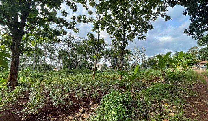 Tanah strategis tengah kota Semarang dekat kampus Undip dekat pintu tol cocok untuk kos dijual di Bulusan Tembalang Semarang atas 2