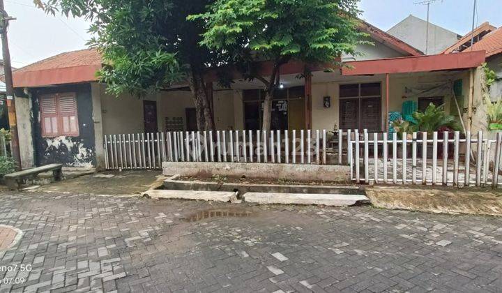 Rumah lama dihitung tanah tengah kota Semarang cocok untuk kos dekat kampus Undip di pusat kota dekat simpang lima dijual di Pleburan Semarang tengah 1