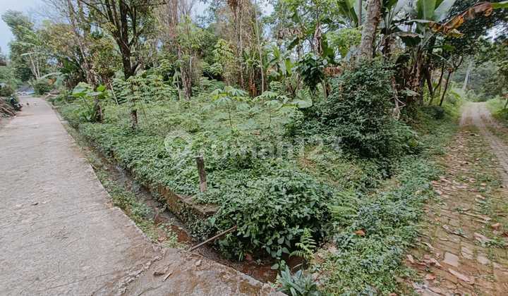 Tanah Strategis Murah Tengah Kota Salatiga Cocok Untuk Villa Area Sejuk Wisata Kopeng Salatiga Dijual Di Kopeng Getasan Salatiga Tanah Strategis Murah Tengah Kota Salatiga Cocok Untuk Villa Area Sejuk Wisata Kopeng Salatiga Dijual Di Kopeng Getasan Salatiga