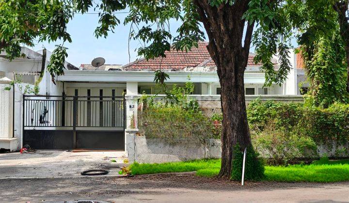 Murah‼️rumah Manyar Rejo Nol Jalan Raya 1