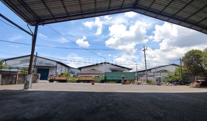 Kalianak Warehouse Good Cheap Kalianak Warehouse Good Cheap