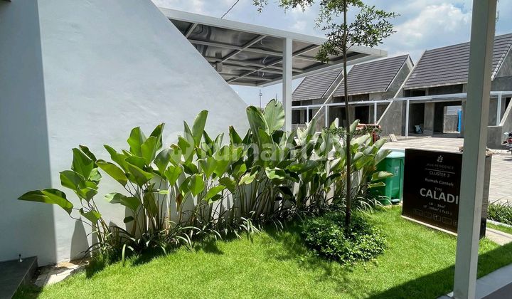Cheapest in Sidoarjo 300 Million 2