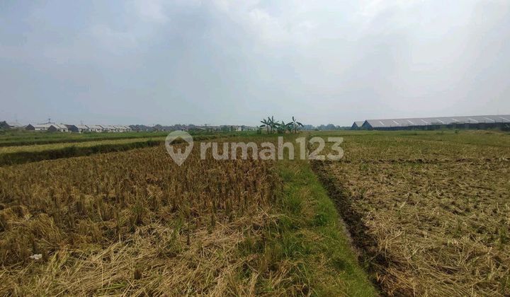 Tanah Industri Murah Nol Jalan Raya Mojokerto