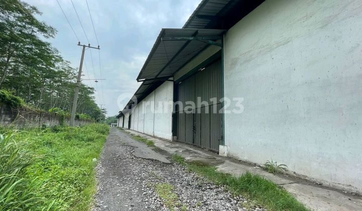 Gudang Ngoro Mojokerto Luas Jual Murah