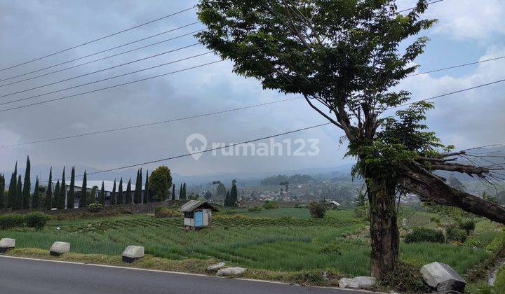 Tanah Strategis 1 Hektar Mainroad Raya Ciwidey, Cikembang 2