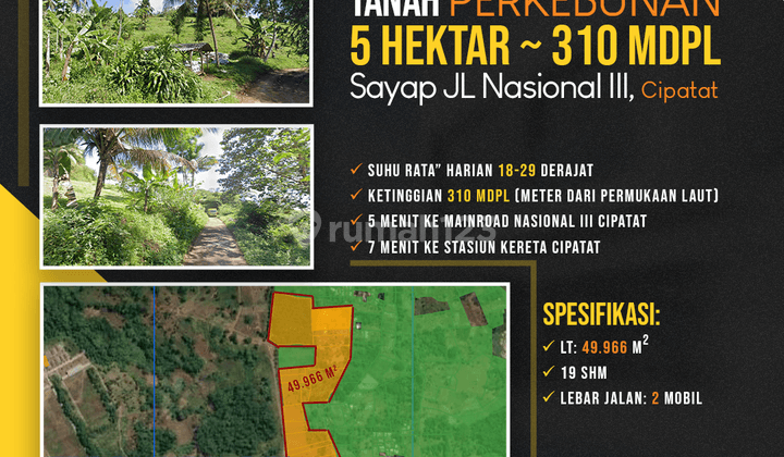 Tanah Perkebunan 5 Hektar 310 Mdpl Sayap Jalan Nasional Iii Cipatat, Bandung Barat 1