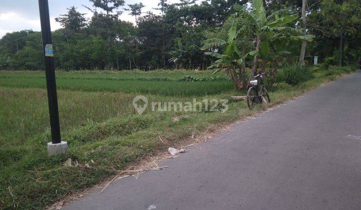 TANAH SAWAH DEKAT JL.KEBON AGUNG  SLEMAN 1