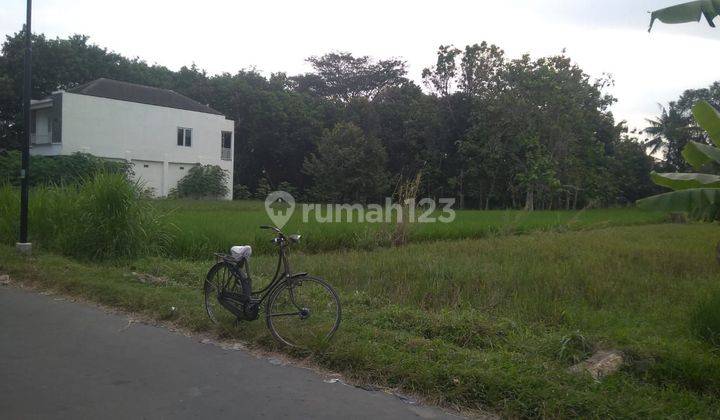 TANAH SAWAH DEKAT JL.KEBON AGUNG  SLEMAN 2