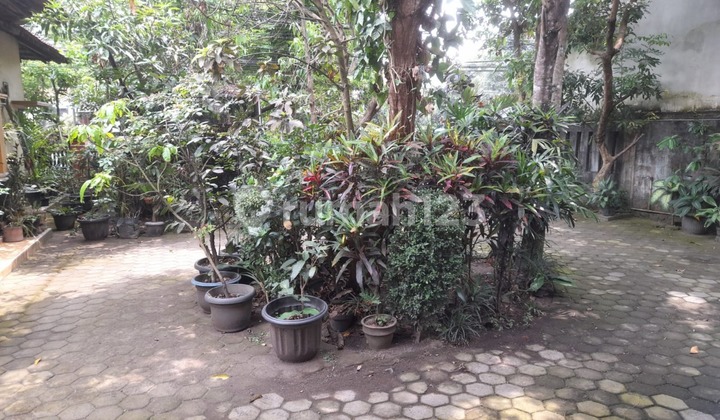 Bonus Land Spacious House on the Edge of Magelang Road Near Sleman Regency Government Office