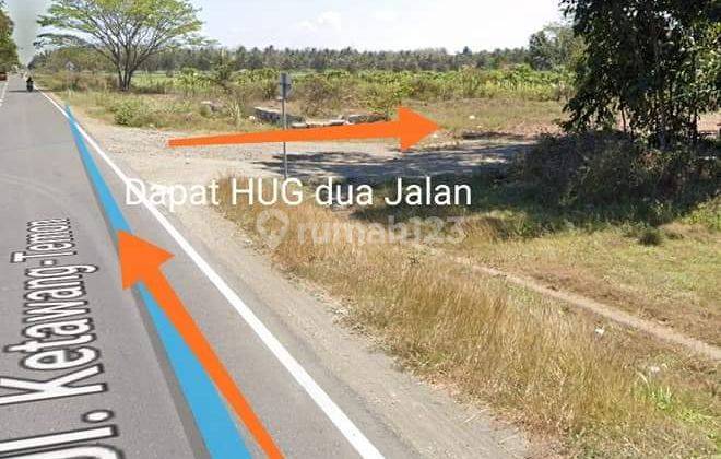 Tanah Luas Di Jl.deandels Nampurejo Purworejo 1