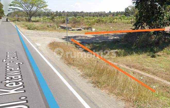 Tanah Luas Di Jl.deandels Nampurejo Purworejo 2