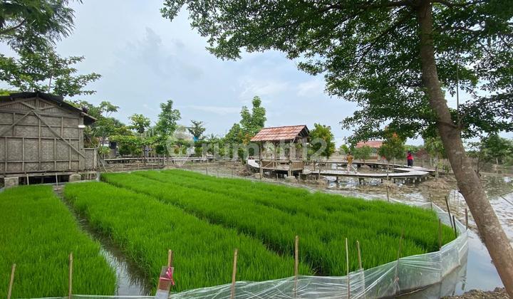 Dijual Tanah Beserta Bangunan Di Jatibaru Cikarang Timur