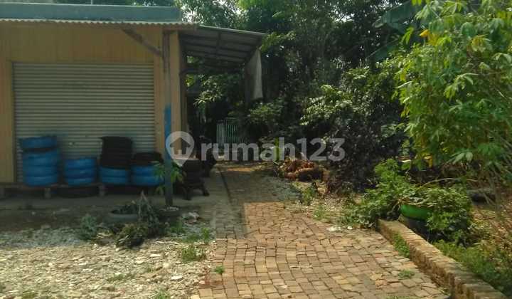 Rumah Halaman Luas di Cikupa Tanggerang dekat Citra Raya, Rs Ciputra, Mall Ciputra, Ramayana, Universtitas Esa Unggul Rumah Halaman Luas di Cikupa Tanggerang dekat Citra Raya, Rs Ciputra, Mall Ciputra, Ramayana, Universtitas Esa Unggul