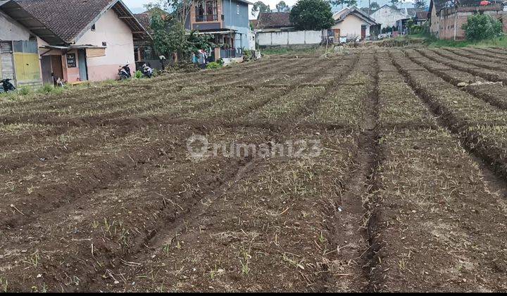 Di Sewakan Tanah Di Pangalengan Harga Sangat Murah 1