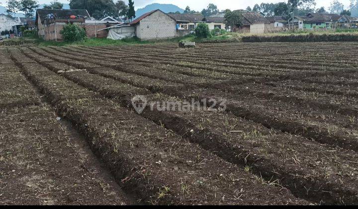 Di Sewakan Tanah Di Pangalengan Harga Sangat Murah 2